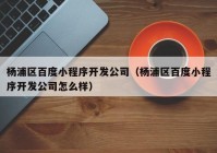 杨浦区百度小程序开发公司（杨浦区百度小程序开发公司怎么样）