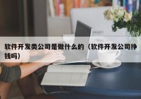 软件开发类公司是做什么的（软件开发公司挣钱吗）